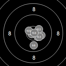 Target Image