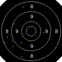 Target Image