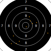 Target Image