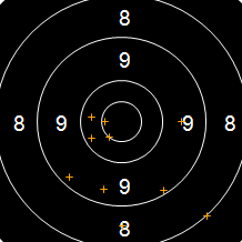 Target Image