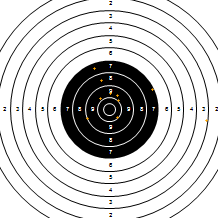 Target Image
