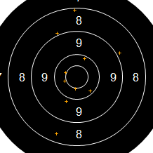 Target Image