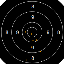 Target Image