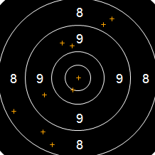 Target Image