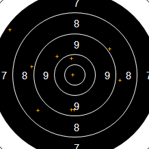 Target Image