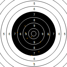 Target Image
