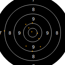 Target Image