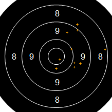 Target Image