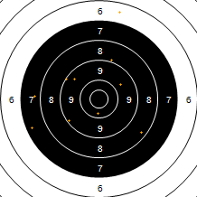 Target Image