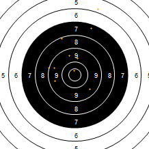 Target Image