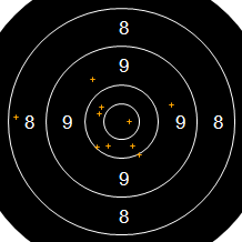 Target Image