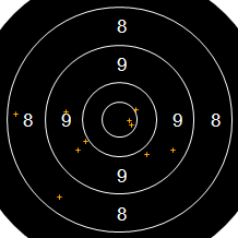 Target Image