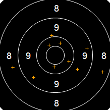 Target Image