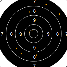 Target Image