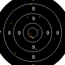 Target Image