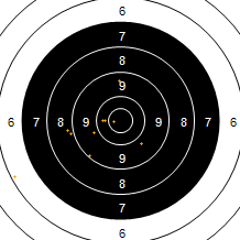 Target Image