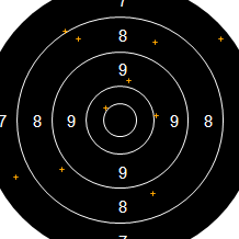 Target Image
