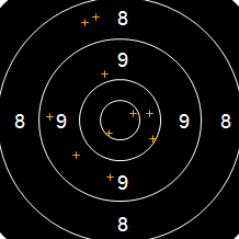Target Image