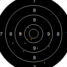 Target Image