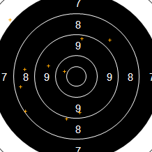 Target Image