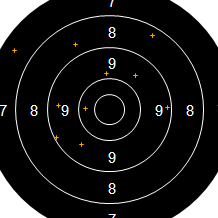 Target Image