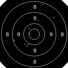 Target Image