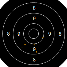 Target Image