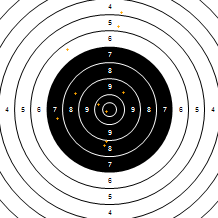 Target Image