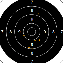 Target Image