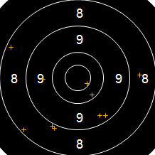 Target Image