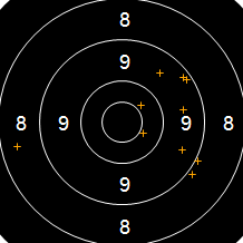 Target Image
