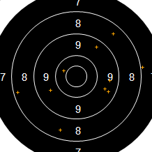 Target Image
