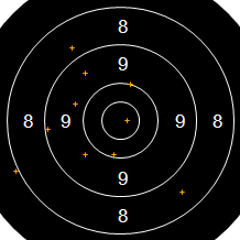 Target Image
