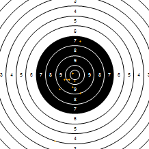Target Image