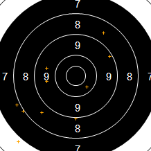 Target Image