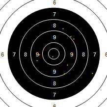 Target Image