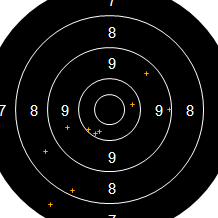 Target Image