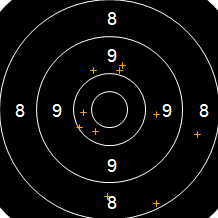Target Image