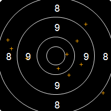 Target Image