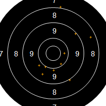 Target Image