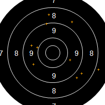 Target Image