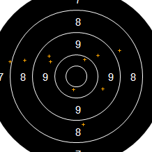 Target Image