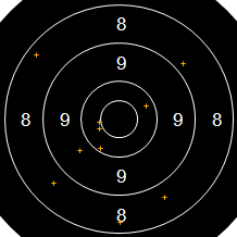 Target Image