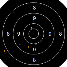 Target Image