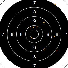 Target Image