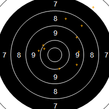 Target Image