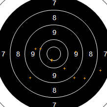 Target Image