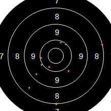 Target Image