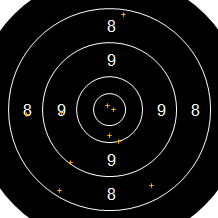 Target Image