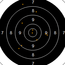 Target Image